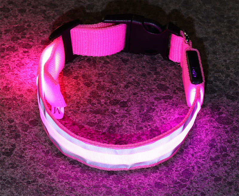 Anti-Lost LED Leuchtendes Hundehalsband Haustierbedarf
