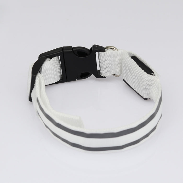 Anti-Lost LED Leuchtendes Hundehalsband Haustierbedarf