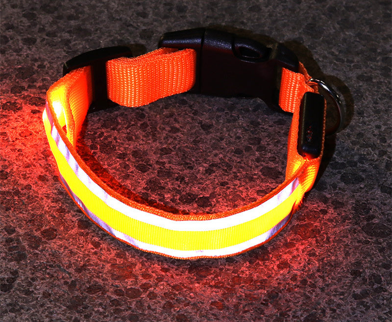 Anti-Lost LED Leuchtendes Hundehalsband Haustierbedarf
