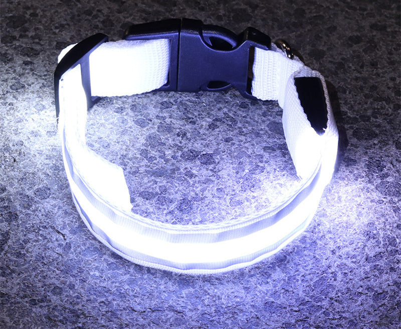 Anti-Lost LED Leuchtendes Hundehalsband Haustierbedarf