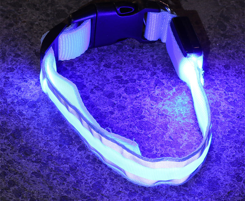 Anti-Lost LED Leuchtendes Hundehalsband Haustierbedarf