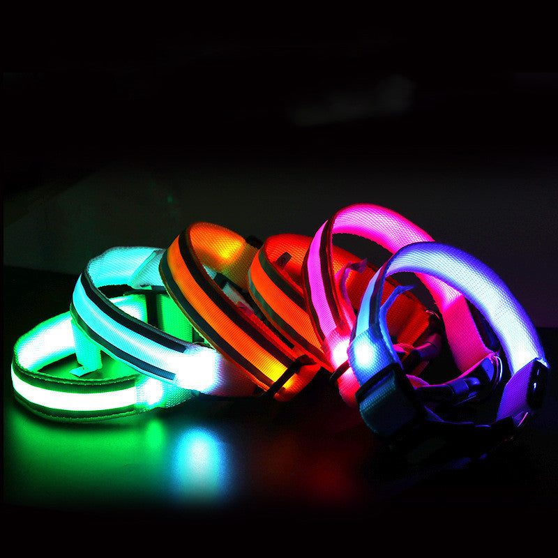 Anti-Lost LED Leuchtendes Hundehalsband Haustierbedarf