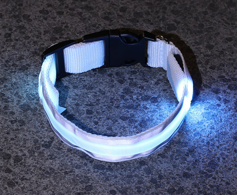 Anti-Lost LED Leuchtendes Hundehalsband Haustierbedarf