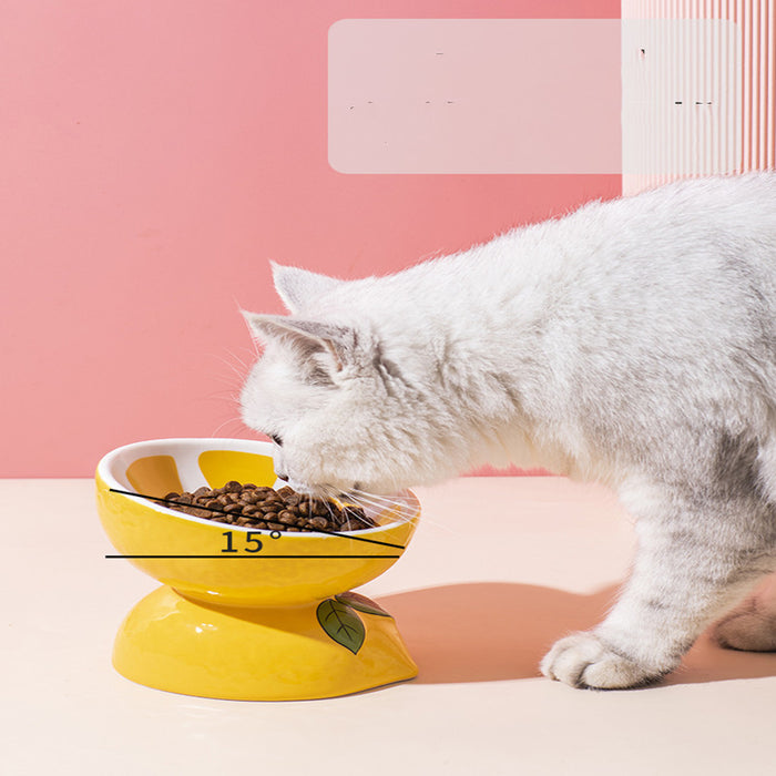 Cat Bowl Cerami Pet Supplies